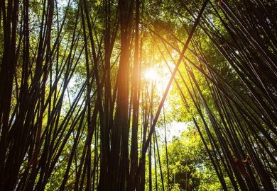 GLOBALNE OCIEPLENIE – CZY CZEKA NAS ZAGŁADA?