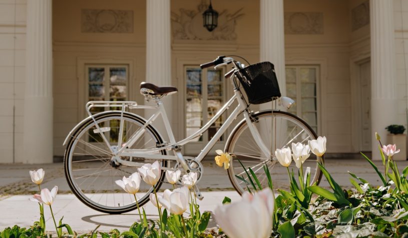 Najlepsze rowery damskie w stylu retro